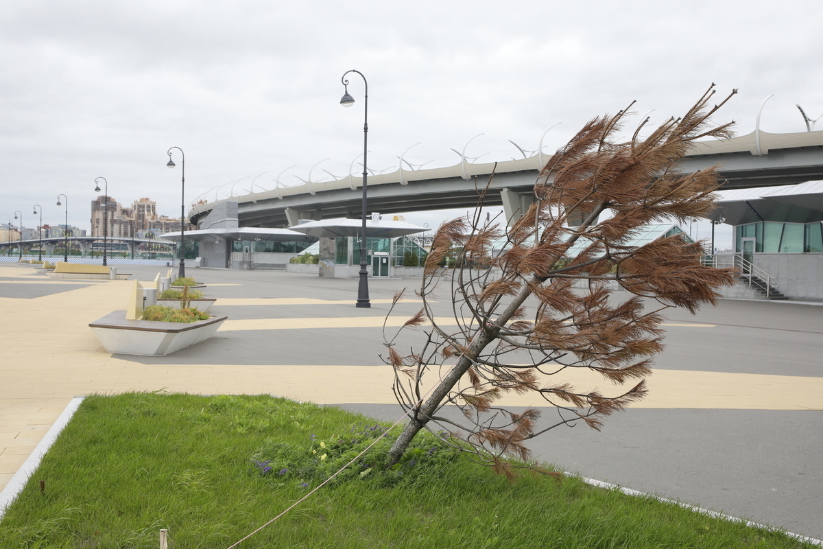 ветер в санкт петербурге