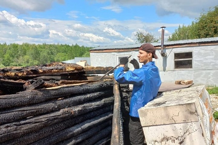 Волонтеры продолжают разбирать завалы сгоревшего приюта для собак под Великими Луками