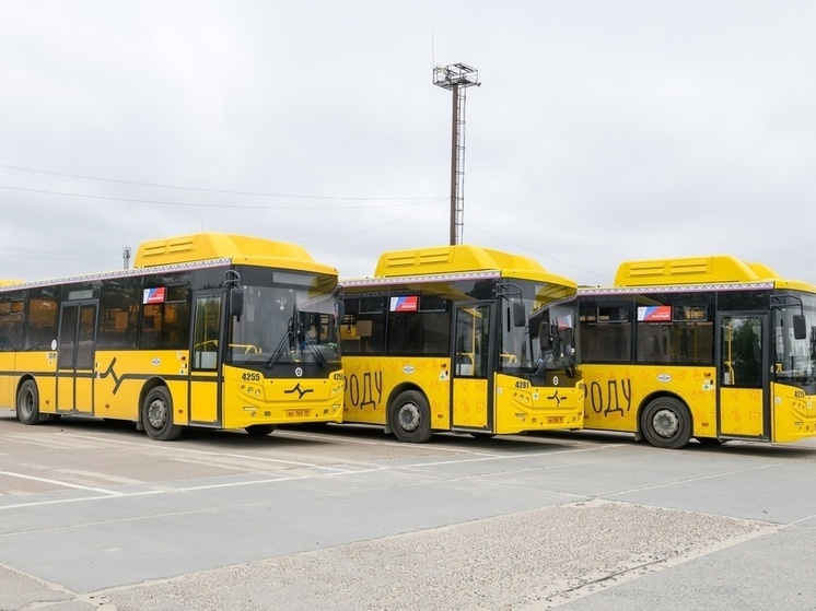 В Ноябрьске пассажирские автобусы-музеи расскажут о подвигах погибших во время ВОВ и СВО героев