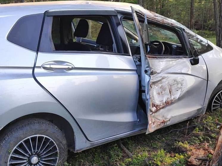 В Мегино-Кангаласском районе в ДТП пострадали 2 пассажира
