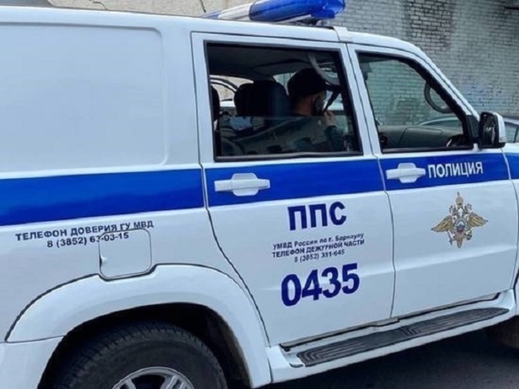 В Рубцовске вандалы сожгли полюбившийся горожанам арт-объект