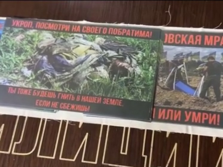 Бойцы ЮВО предложили военным ВСУ сложить оружие под Белогоровкой в ЛНР