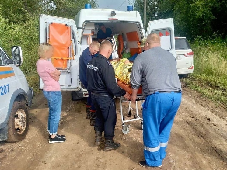 В Серебряных Прудах заблудившийся грибник провёл в лесу почти сутки