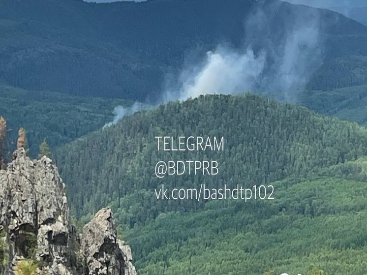 В Башкирии горит лес