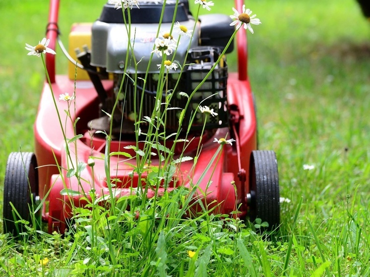Лысины и заросли: петрозаводчанка шокирована состоянием городских дворов