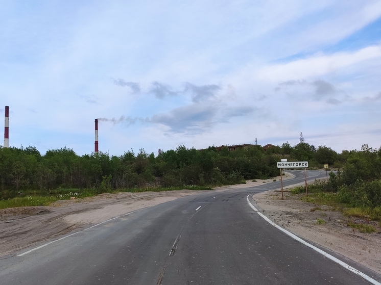 В Мончегорске скосили борщевик после сигнала в соцсетях