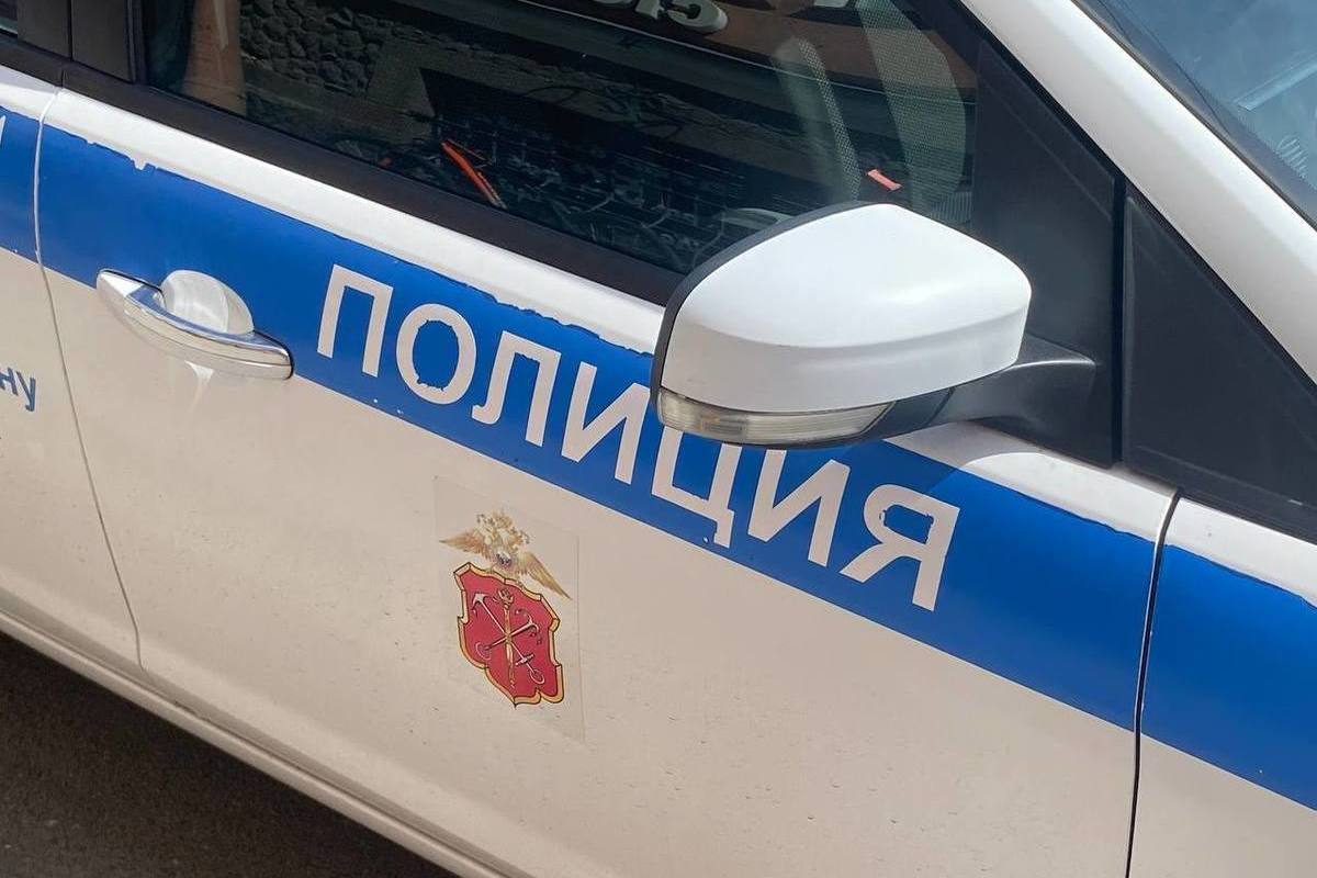 В Петергофе бодибилдер ударил свою жену, а потом отбивался от полиции металлической ложкой для обуви