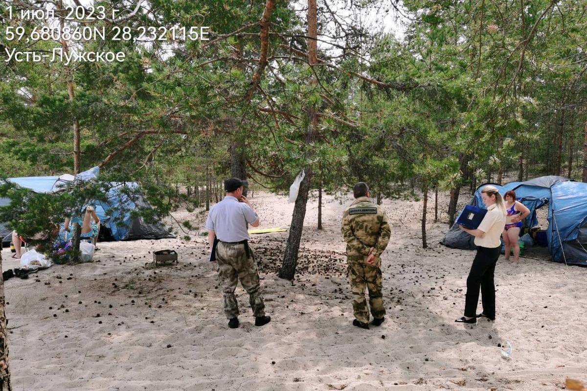 Более 40 бесед провели с отдыхающими в заказниках Ленобласти на выходных