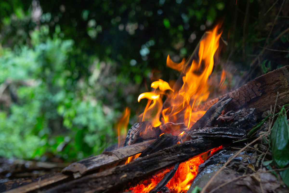 В Поморье продолжает поступать техника для тушения лесных пожаров