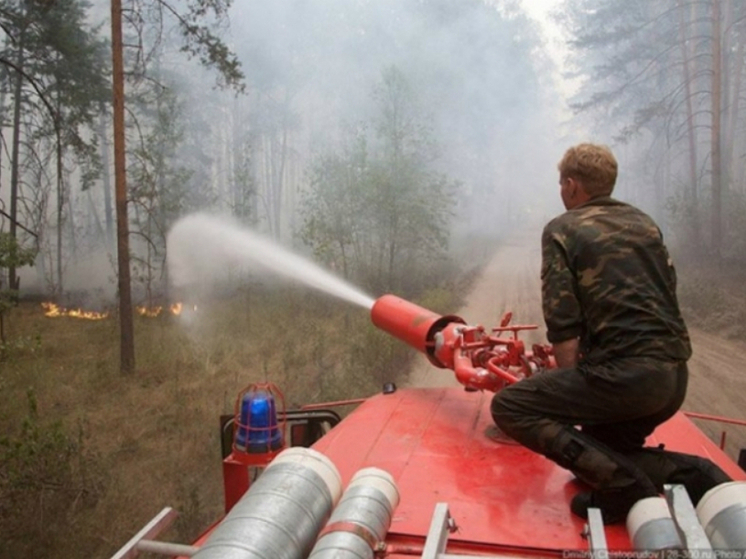 В Хабаровском крае лесными пожарами охвачено больше 15 тысяч гектаров земли