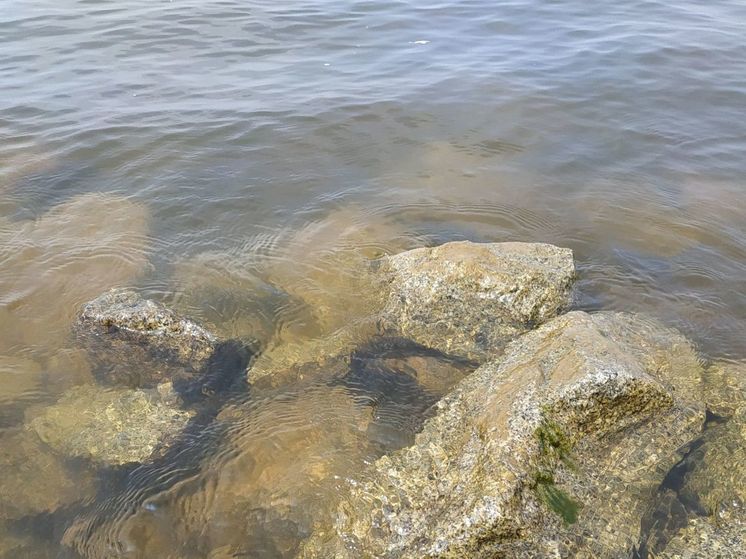 В ЕАО ожидается подъем уровня воды в реках