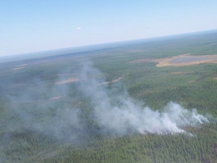 Ямал вошел в число регионов с высокими рисками возгорания лесов в июле