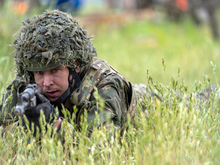 Брутер сообщил, что заявления Запада о медленном контрнаступлении ВСУ призваны усыпить бдительность
