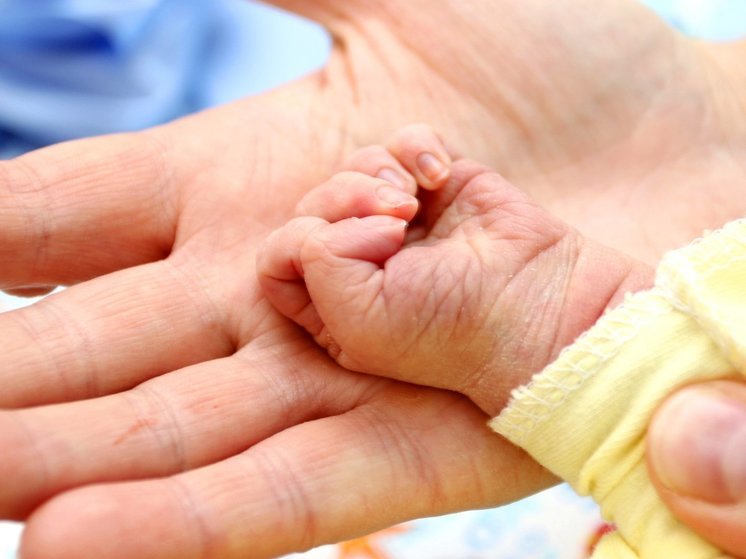 Первая с 2021 года тройня родилась в Вологде