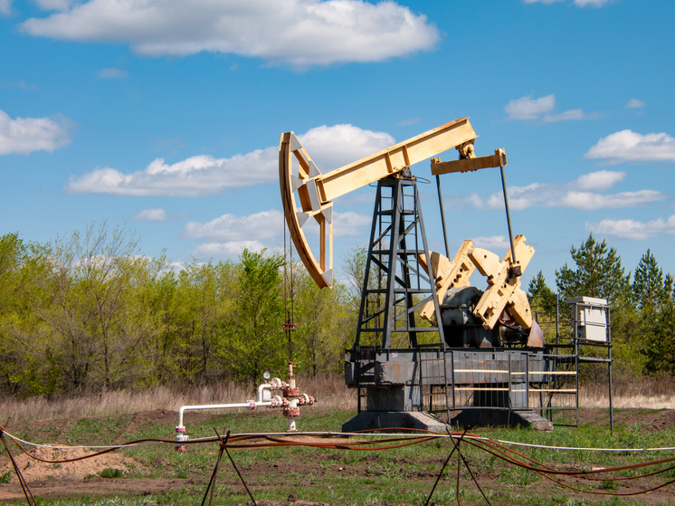 Россия установила рекорд по поставкам нефти в Индию — Чо происходит ...