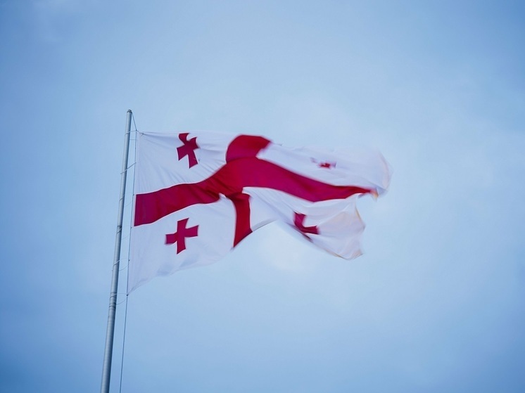 Правящая партия Грузии рассказала о плане оппозиции по захвату Сочи во время мятежа