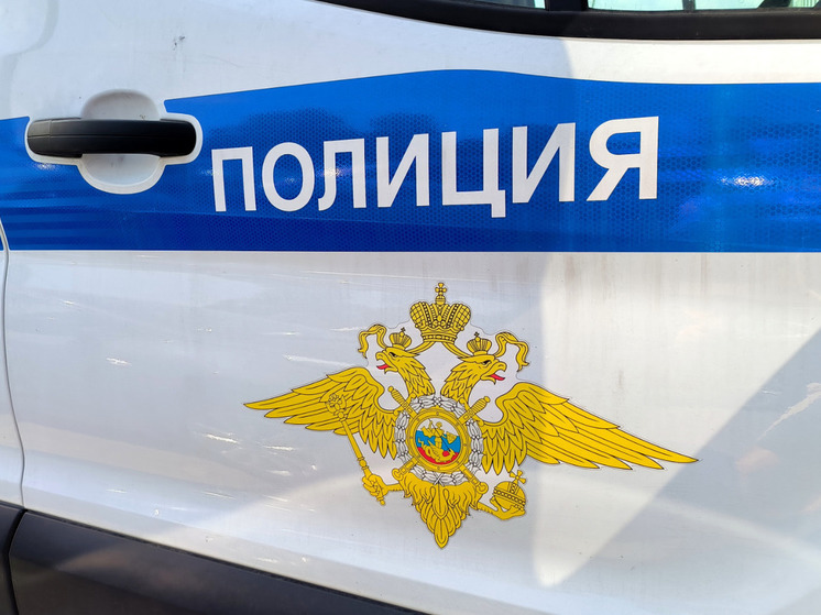 «Фонтанка»: в кустах на севере Петербурга нашли кричащую школьницу
