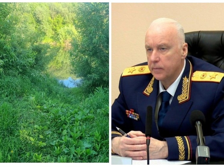 Александр Бастрыкин взял на контроль расследование покушения на убийство подростка под Новосибирском