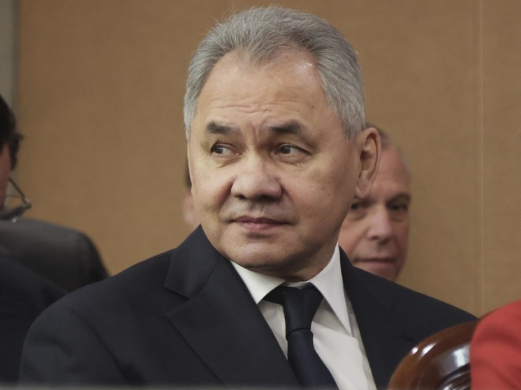 Шойгу: "попытка дестабилизации" в России провалилась из-за верности присяге военнослужащих