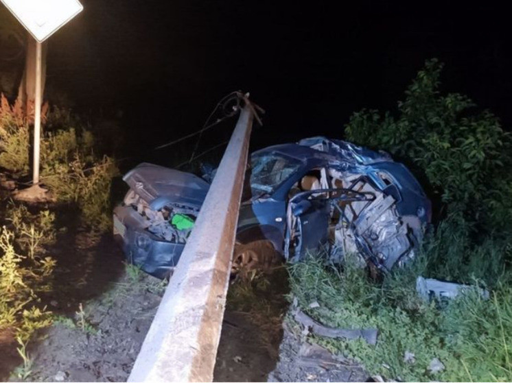 Двое детей погибли в аварии на дороге в Еленовке