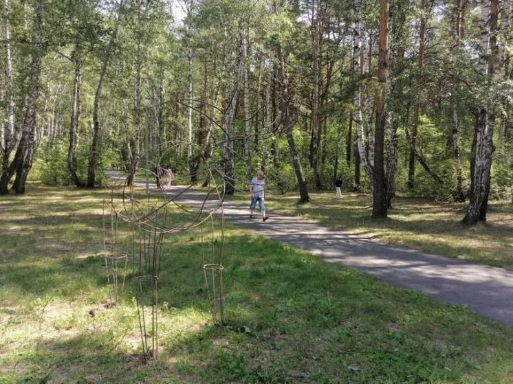 Гилевская роща Тюмень спорт площадка