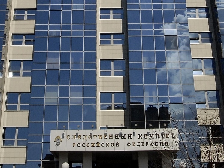 Член Общественной палаты РФ Гаспарян попросил СК проверить правнучку Чкалова на финансирование ВСУ