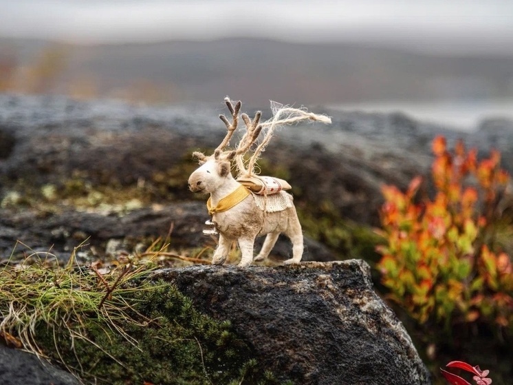 Мурманчанка создала миниатюры арктических животных из ваты