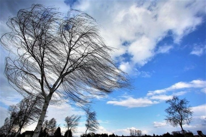 В Костромской области прогнозируются грозы и сильный ветер