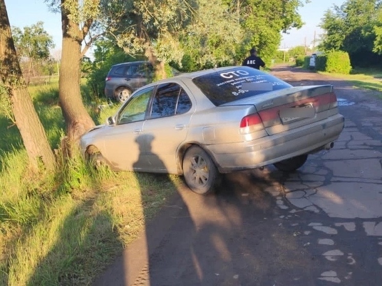 Пьяная жительница Омской области угнала такси и врезалась на нём в дерево