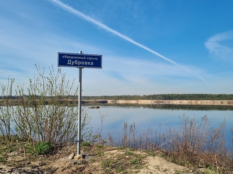 В Ленобласти просят Минприроды обозначить позицию по строительству мусорного полигона в карьере «Дубровка»