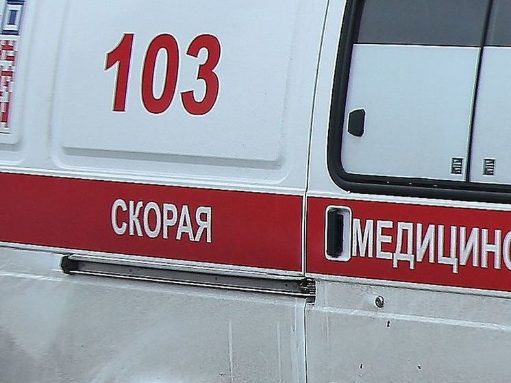 Девять жителей Забайкалья попали в больницу, поев мясо медведя