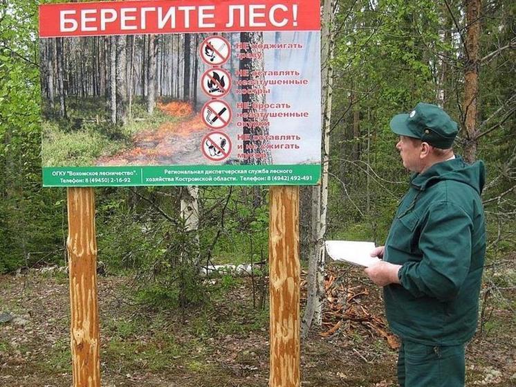 Противопожарный режим в Костромской области продлен до 7 июля