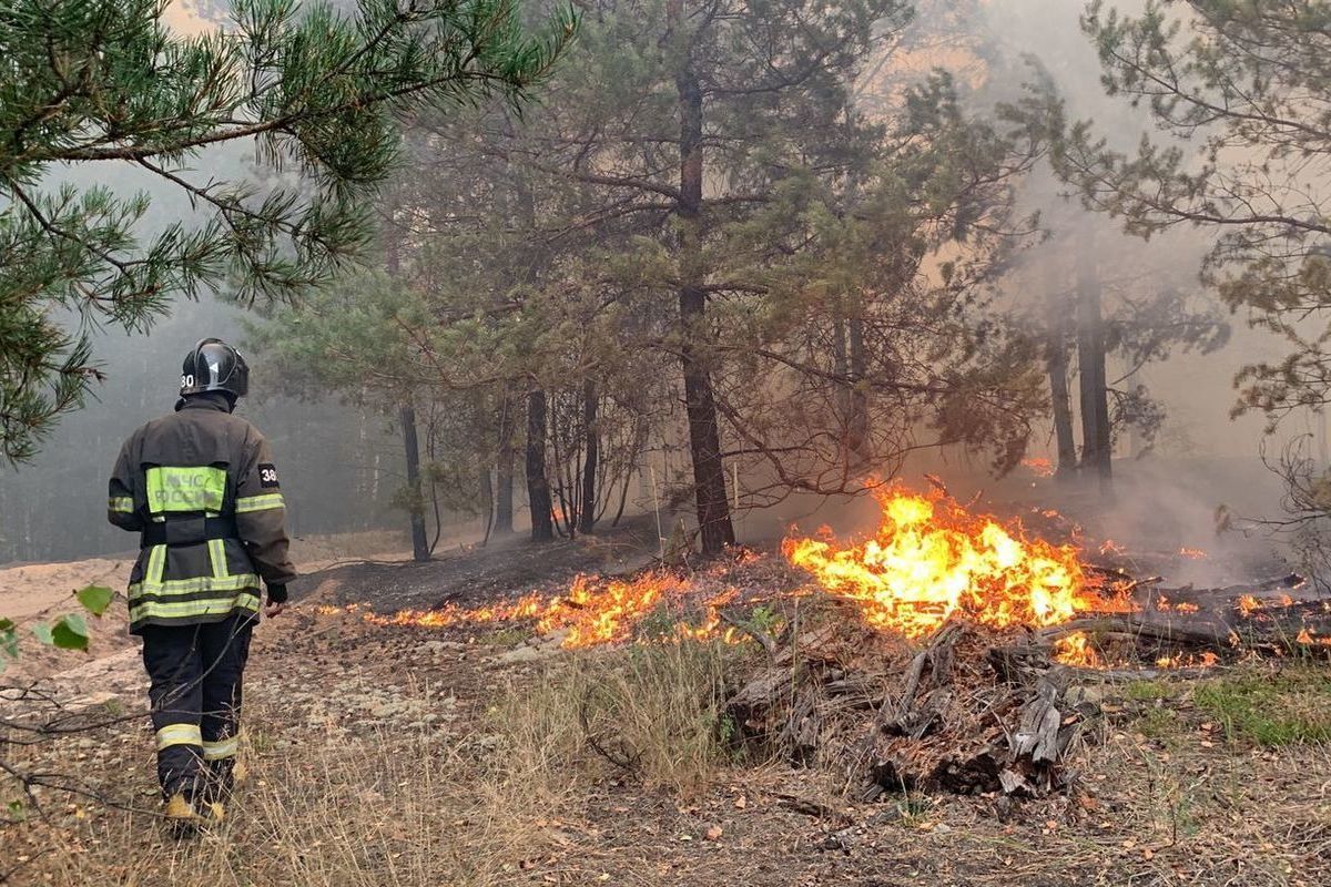 С начала пожароопасного сезона в Рязанской области произошло 15 лесных пожаров