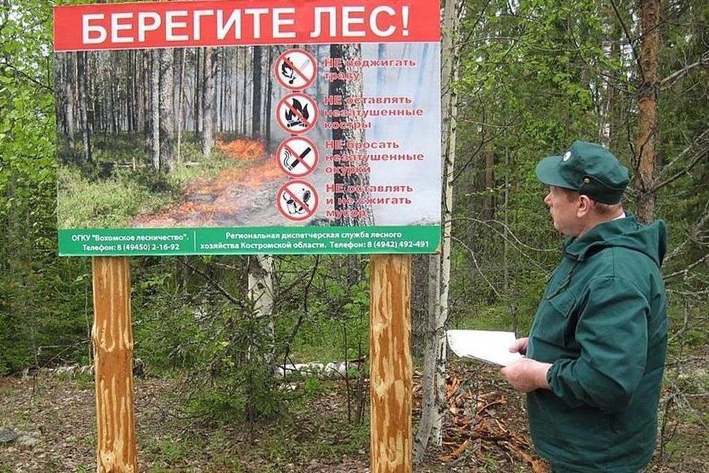 Противопожарный режим в Костромской области продлен до 7 июля