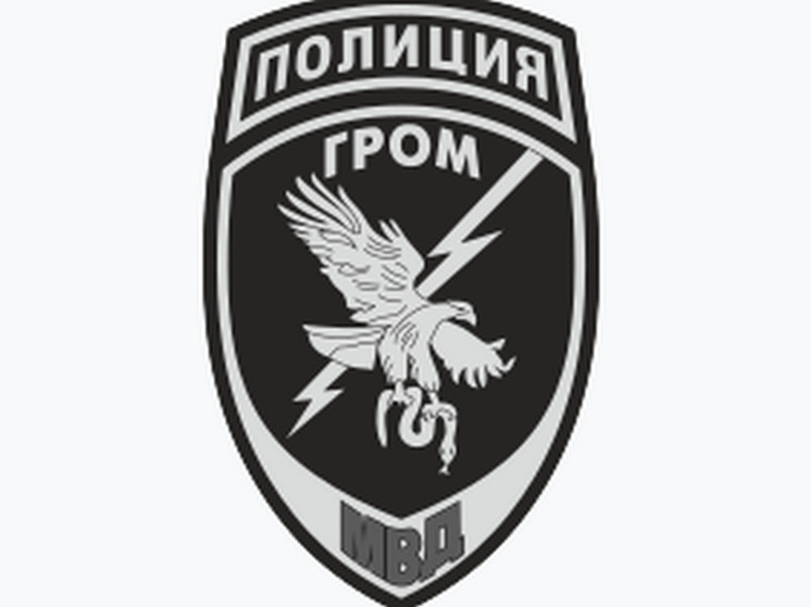 СМИ: силовики прорабатывают вопрос о переподчинении полицейского спецназа «Гром» Росгвардии