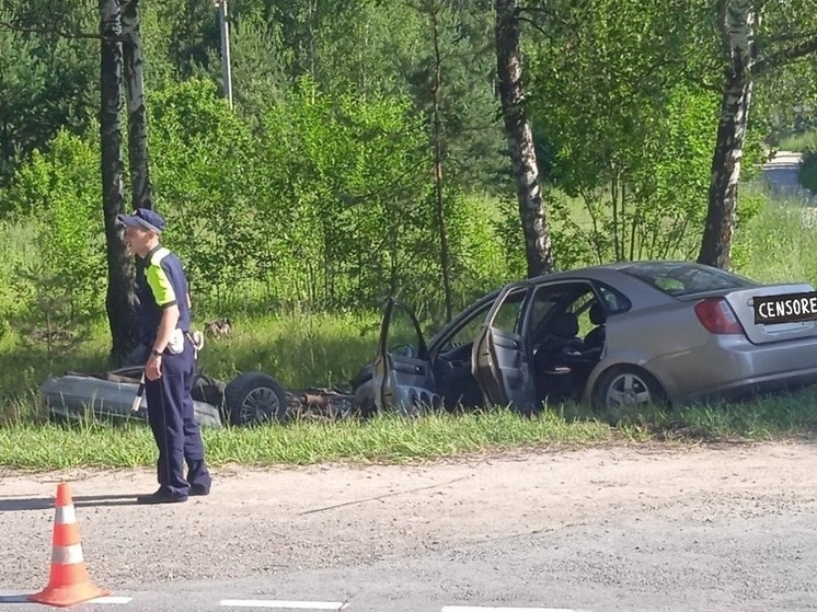 В Касимовском районе два автомобиля вылетели в кювет после ДТП