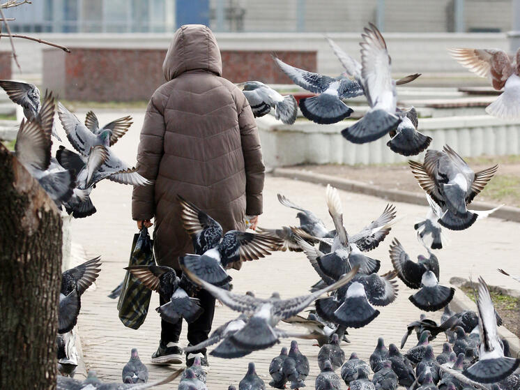 Блогер «Дзена» перечислил три самых глупых штрафа в Германии