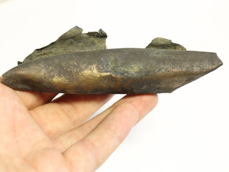 «Если потрясти – он шумит»: загадочный предмет нашли псковские археологи в Печорах