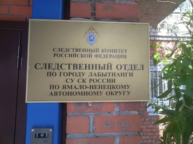 В Лабытнанги мужчина украл из гаража бизнесмена две радиостанции