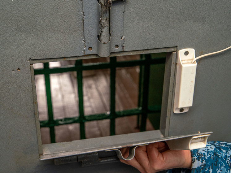 Челябинец проведет 13 лет в колонии за убийство любовницы