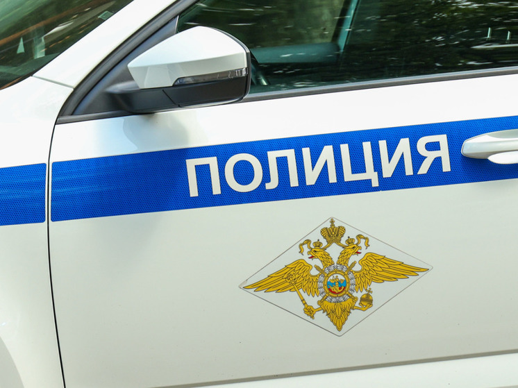 В Новой Москве мужчина наткнулся на мумифицированный труп, висящий на дереве