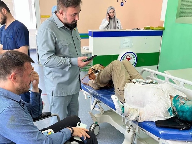 Омбудсмен Чечни назвал нападение на Милашину и Немова "провокацией против республики"