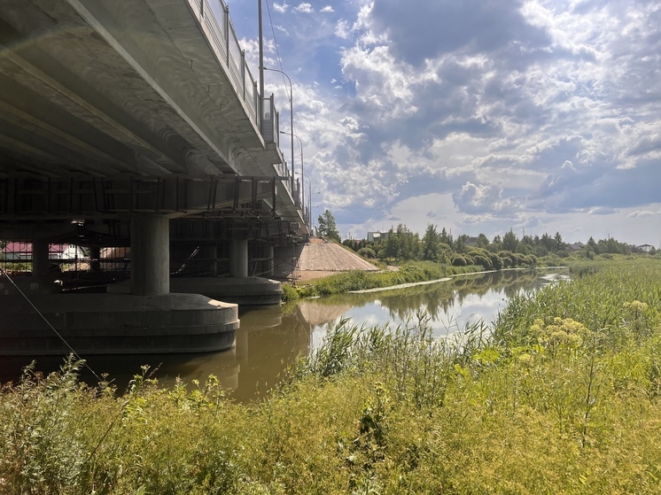 Развязка в ям ижоре схема