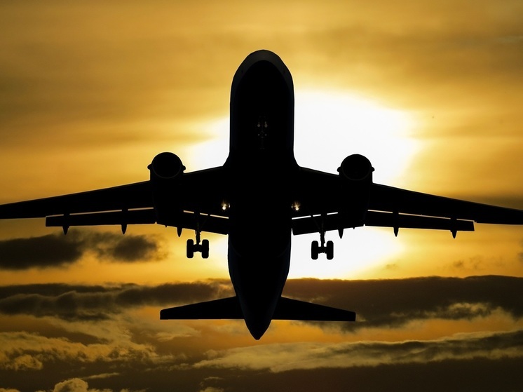 Daily Mail: туристка устроила в самолете истерику из-за воображаемого пассажира