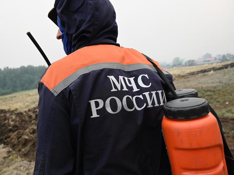 В Аргаяшском районе горят торфяники на 5 гектарах леса