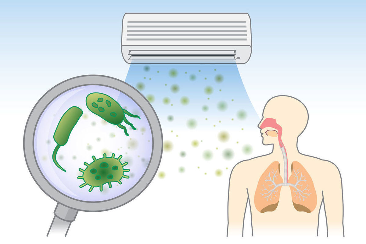Биолог рассказал, чем опасен грязный кондиционер - МК Ярославль
