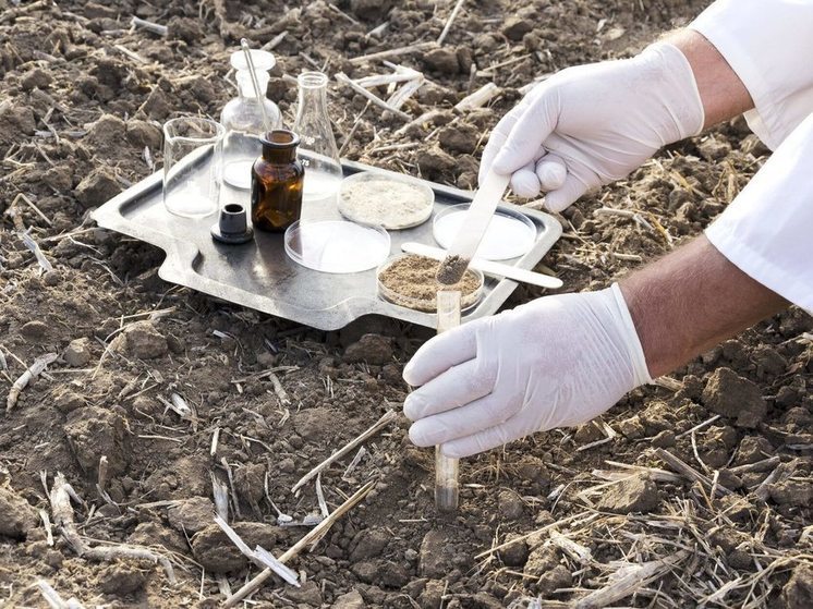 Soil Testing, Inspection, and Certification Market