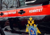 Следственный отдел города Гурьевска организовал доследственную проверку по факту, который был выявлен в СМИ