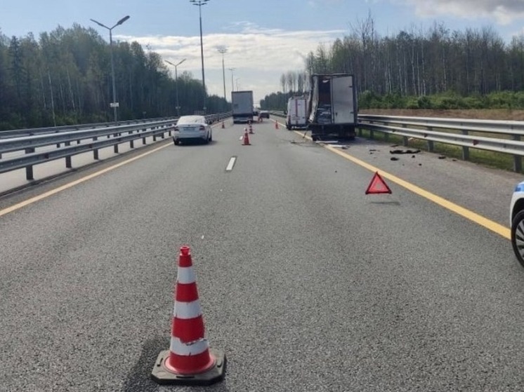 В Новгородской области водитель грузовика погиб в результате ДТП на трассе М-11 «Нева»
