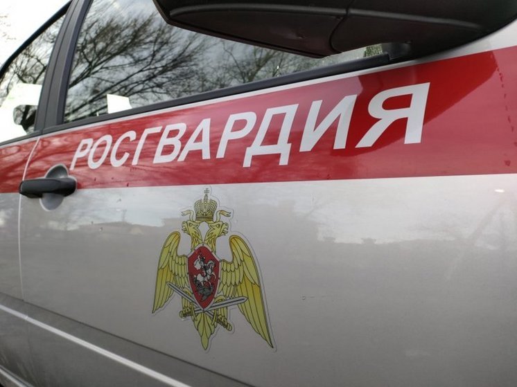 В Курске росгвардейцы задержали дебошира в ТЦ на Харьковской